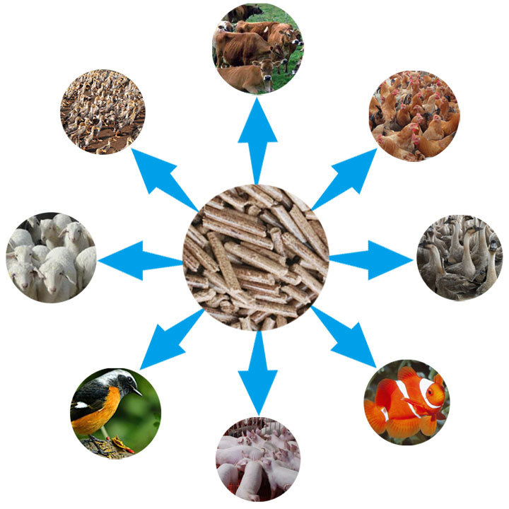秸秆饲料颗粒机的应用