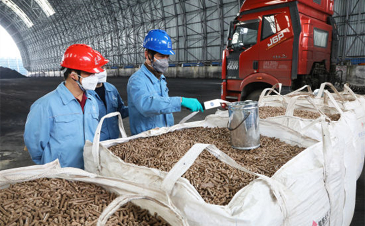 上海石化员工对木屑制粒机燃料进行采制样.jpg