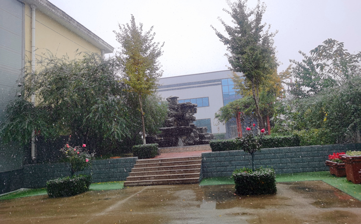 济南喜提入冬初雪.jpg