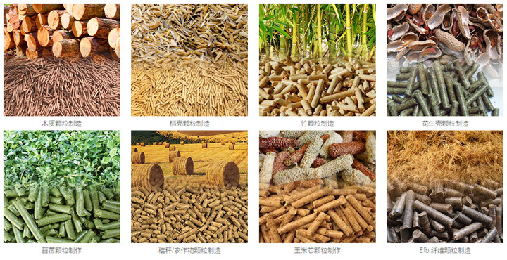 木屑颗粒机可以使用这些原料来制造生物质颗粒.jpg